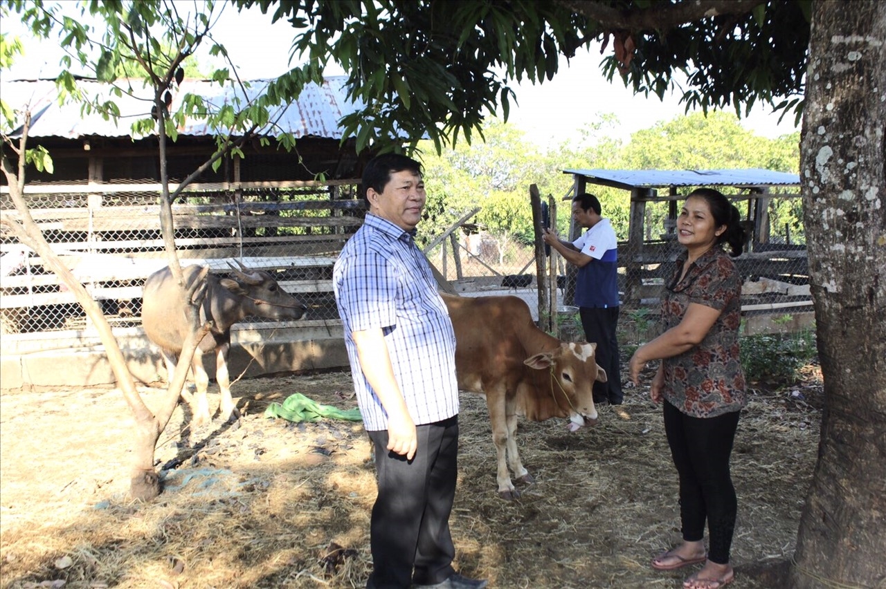 Buôn Đôn (Đắk Lắk): Đời sống đồng bào được nâng lên nhờ thực hiện hiệu quả chính sách dân tộc