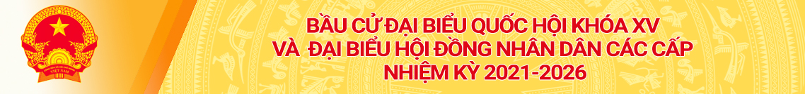 Bầu cử đại biểu Quốc hội khóa XV và Đại biểu HĐND