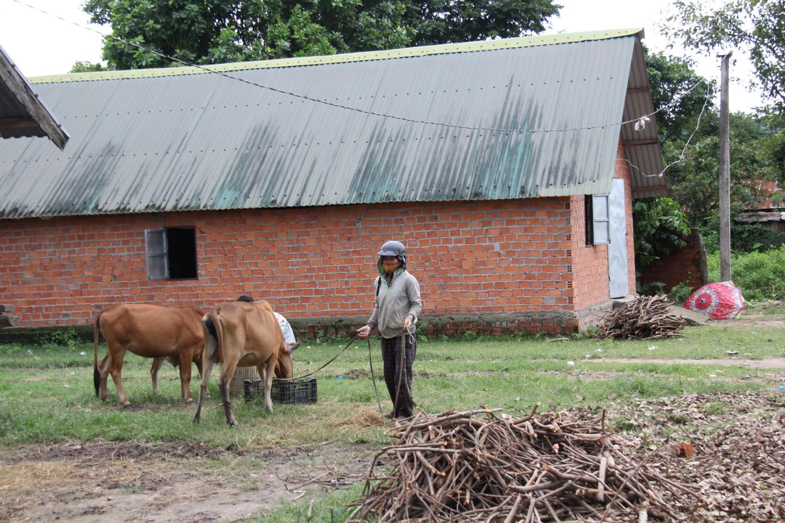 2.258 tỷ đồng đầu tư phát triển vùng đồng bào dân tộc thiểu số