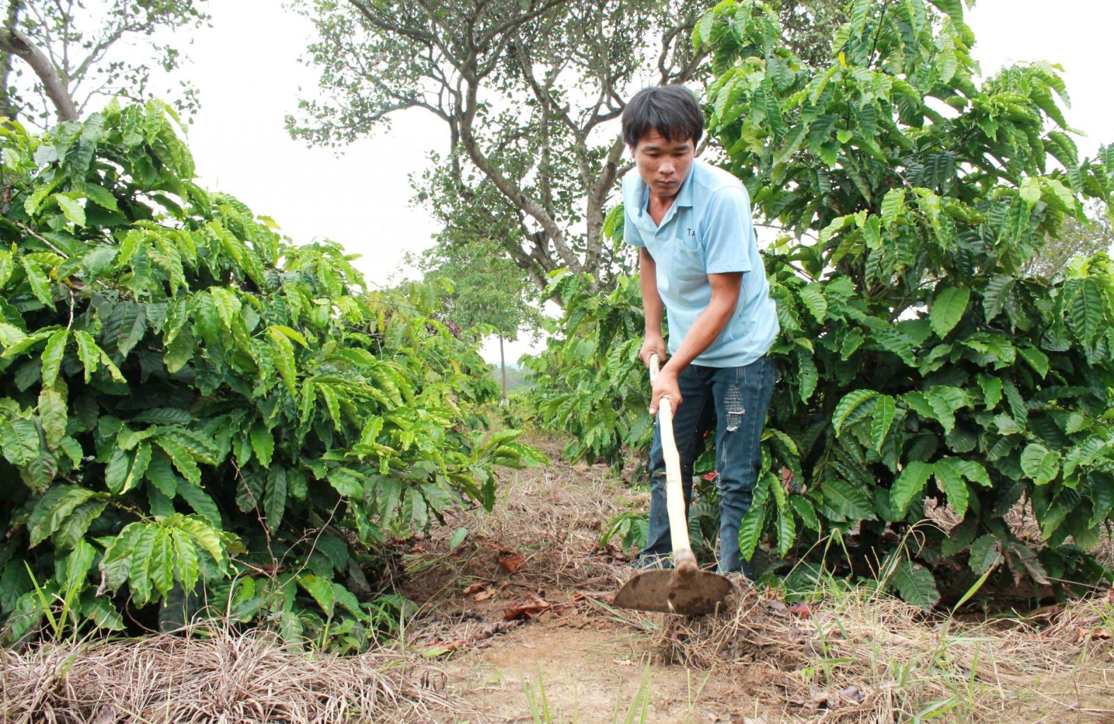 Huyện Ea Kar: Dấu ấn từ các chương trình, chính sách dân tộc
