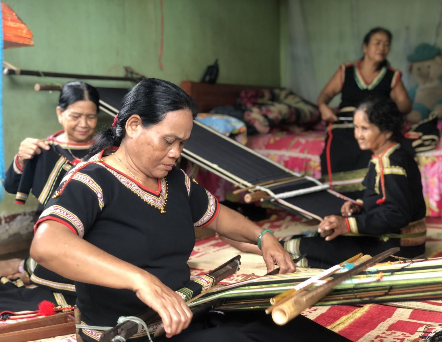 “Hoa xương rồng trên cát”