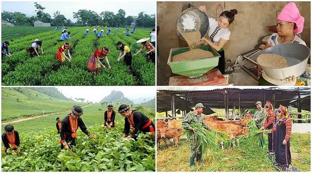 Điều chỉnh một số nội dung Chương trình mục tiêu quốc gia phát triển kinh tế - xã hội vùng DTTS và miền núi