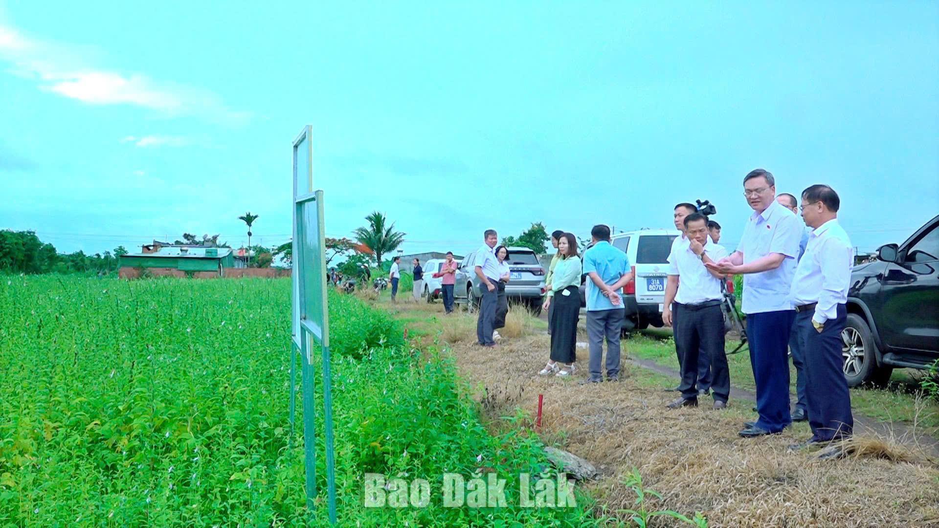 1-xa-ea-kar-trao-doi-voi-nguoi-dan-20260707172652.jpg