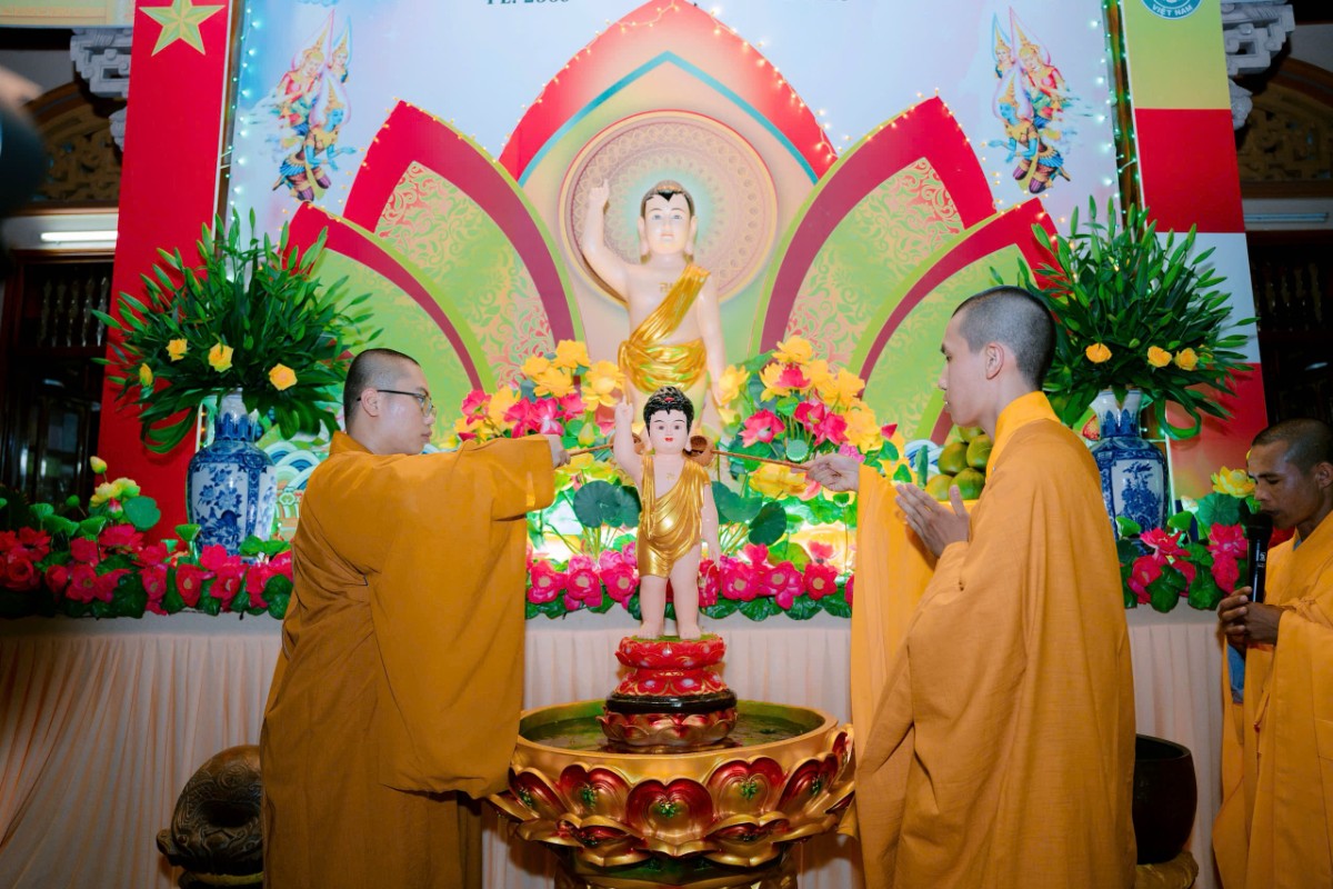 tang-qua.jpg
